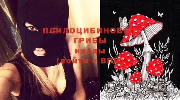 крисы Балабаново