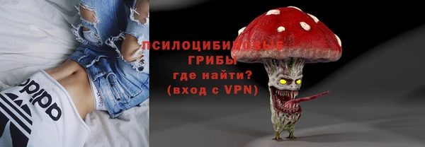 мдма Белокуриха