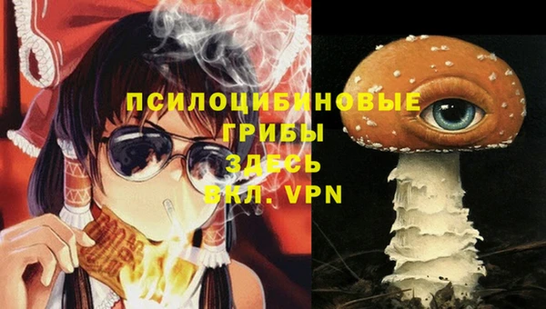 мдма Белокуриха