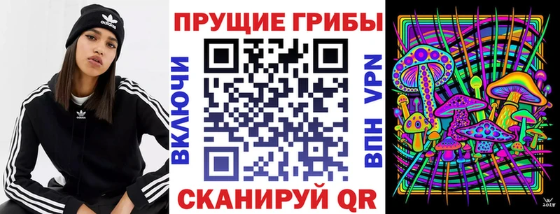 купить  цена  Реутов  Псилоцибиновые грибы Cubensis 