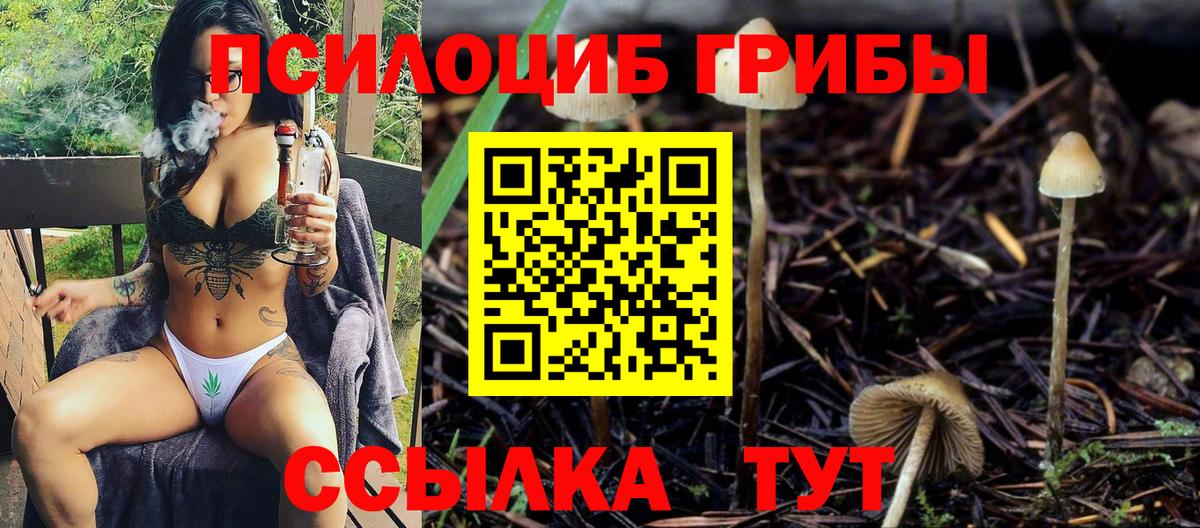 закладки  Псилоцибиновые грибы Psilocybe  Вход с VPN  Реутов  Псилоцибиновые грибы Psilocybine cubensis 